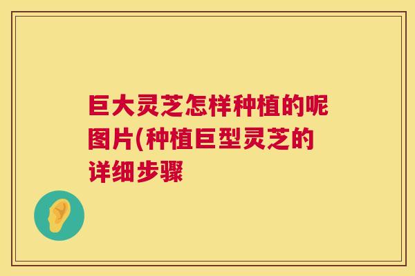 巨大灵芝怎样种植的呢图片(种植巨型灵芝的详细步骤