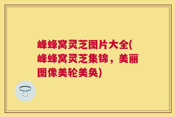峰蜂窝灵芝图片大全(峰蜂窝灵芝集锦，美丽图像美轮美奂)