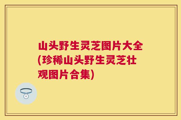 山头野生灵芝图片大全(珍稀山头野生灵芝壮观图片合集)