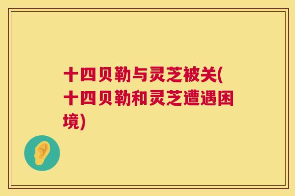 十四贝勒与灵芝被关(十四贝勒和灵芝遭遇困境)