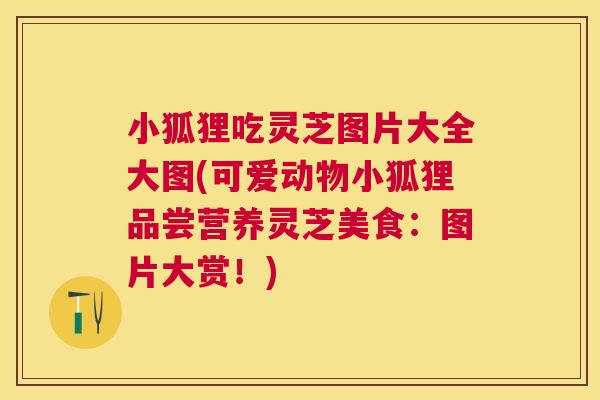 小狐狸吃灵芝图片大全大图(可爱动物小狐狸品尝营养灵芝美食：图片大赏！)