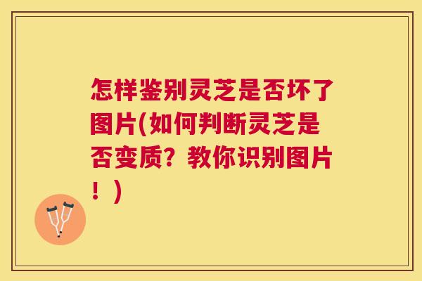 怎样鉴别灵芝是否坏了图片(如何判断灵芝是否变质？教你识别图片！)