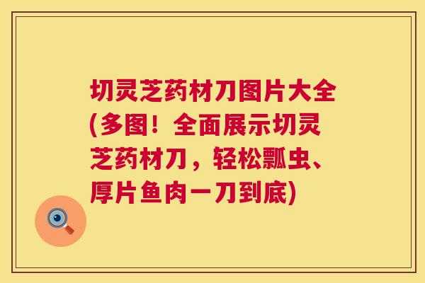 切灵芝药材刀图片大全(多图！全面展示切灵芝药材刀，轻松瓢虫、厚片鱼肉一刀到底)
