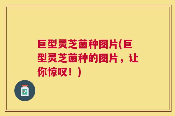 巨型灵芝菌种图片(巨型灵芝菌种的图片，让你惊叹！)