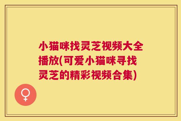 小猫咪找灵芝视频大全播放(可爱小猫咪寻找灵芝的精彩视频合集)