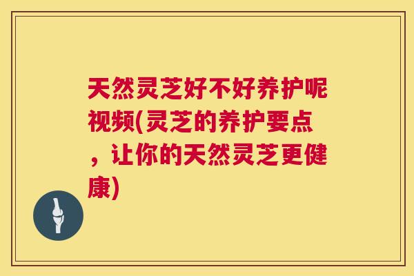 天然灵芝好不好养护呢视频(灵芝的养护要点，让你的天然灵芝更健康)