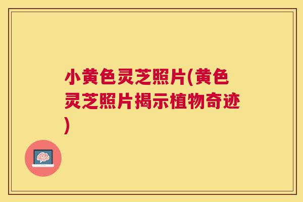 小黄色灵芝照片(黄色灵芝照片揭示植物奇迹)