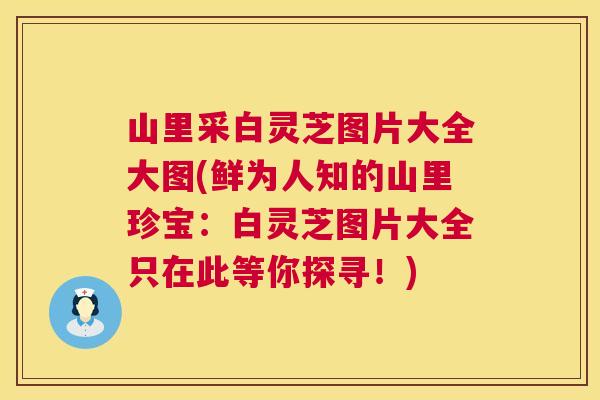 山里采白灵芝图片大全大图(鲜为人知的山里珍宝：白灵芝图片大全只在此等你探寻！)