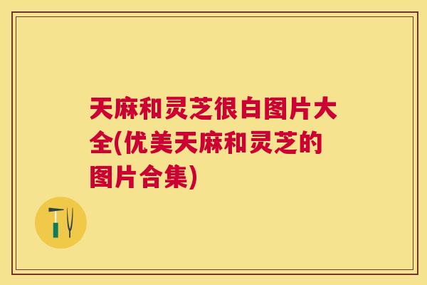 天麻和灵芝很白图片大全(优美天麻和灵芝的图片合集)