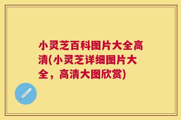 小灵芝百科图片大全高清(小灵芝详细图片大全，高清大图欣赏)
