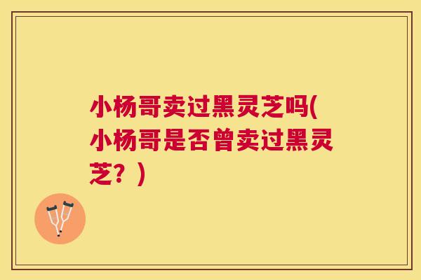小杨哥卖过黑灵芝吗(小杨哥是否曾卖过黑灵芝？)
