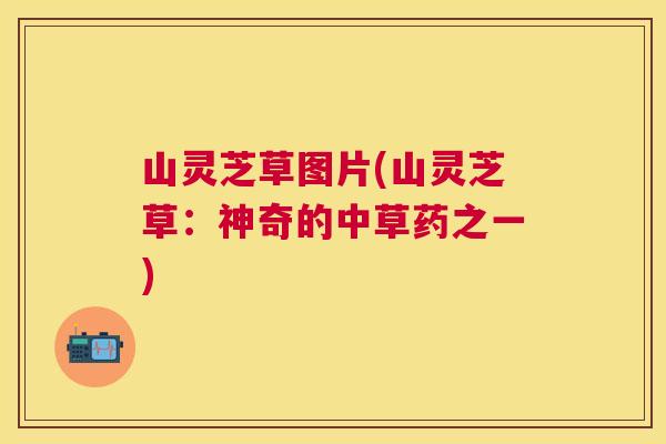 山灵芝草图片(山灵芝草：神奇的中草药之一)