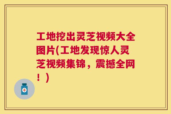 工地挖出灵芝视频大全图片(工地发现惊人灵芝视频集锦，震撼全网！)