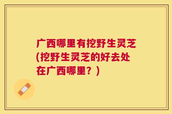 广西哪里有挖野生灵芝(挖野生灵芝的好去处在广西哪里？)