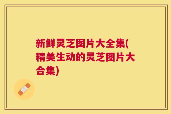 新鲜灵芝图片大全集(精美生动的灵芝图片大合集)