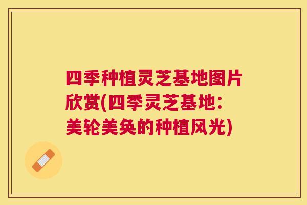 四季种植灵芝基地图片欣赏(四季灵芝基地：美轮美奂的种植风光)