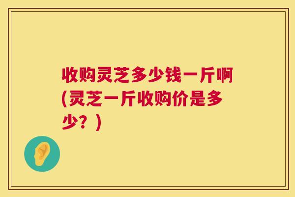 收购灵芝多少钱一斤啊(灵芝一斤收购价是多少？)