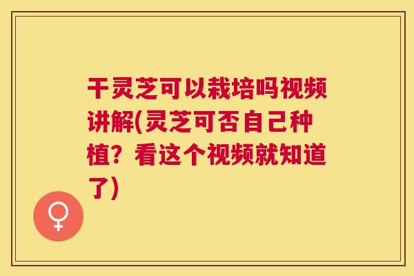 干灵芝可以栽培吗视频讲解(灵芝可否自己种植？看这个视频就知道了)