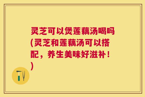 灵芝可以煲莲藕汤喝吗(灵芝和莲藕汤可以搭配，养生美味好滋补！)