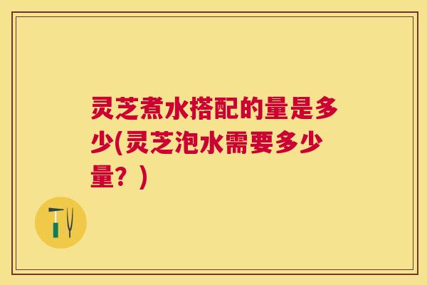 灵芝煮水搭配的量是多少(灵芝泡水需要多少量？)