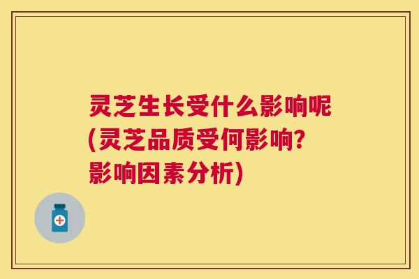 灵芝生长受什么影响呢(灵芝品质受何影响？影响因素分析)