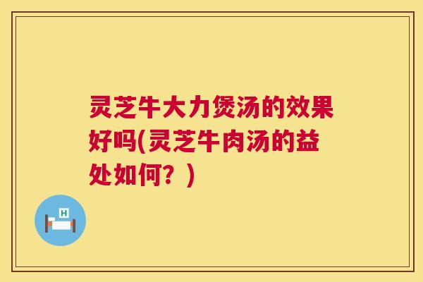 灵芝牛大力煲汤的效果好吗(灵芝牛肉汤的益处如何？)