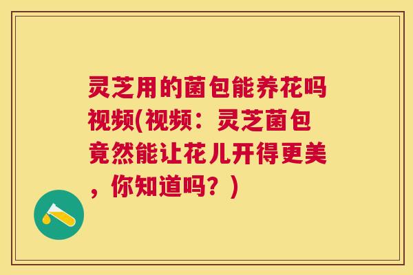 灵芝用的菌包能养花吗视频(视频：灵芝菌包竟然能让花儿开得更美，你知道吗？)