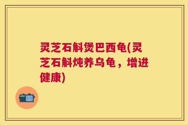 灵芝石斛煲巴西龟(灵芝石斛炖养乌龟，增进健康)