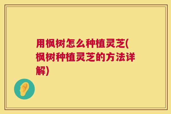 用枫树怎么种植灵芝(枫树种植灵芝的方法详解)