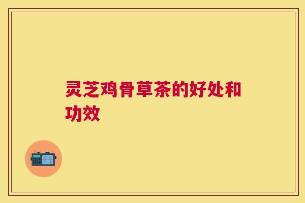 灵芝鸡骨草茶的好处和功效