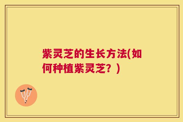 紫灵芝的生长方法(如何种植紫灵芝？)