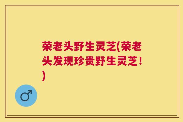 荣老头野生灵芝(荣老头发现珍贵野生灵芝！)