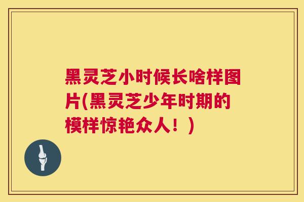 黑灵芝小时候长啥样图片(黑灵芝少年时期的模样惊艳众人！)