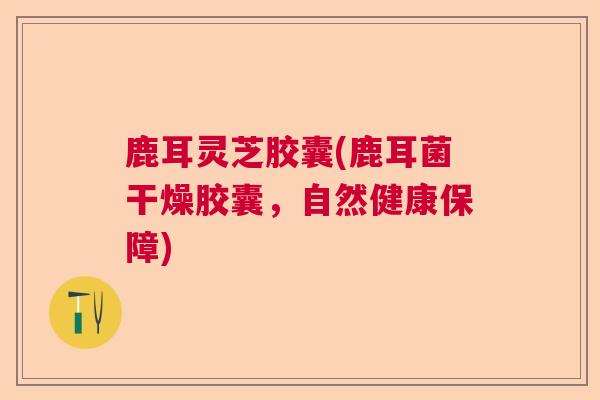 鹿耳灵芝胶囊(鹿耳菌干燥胶囊，自然健康保障)