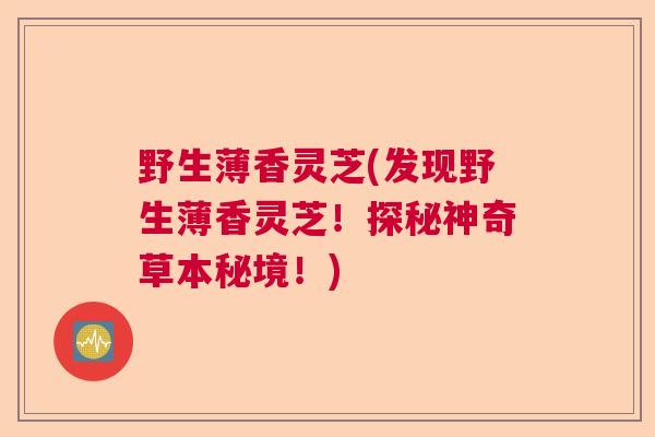 野生薄香灵芝(发现野生薄香灵芝！探秘神奇草本秘境！)