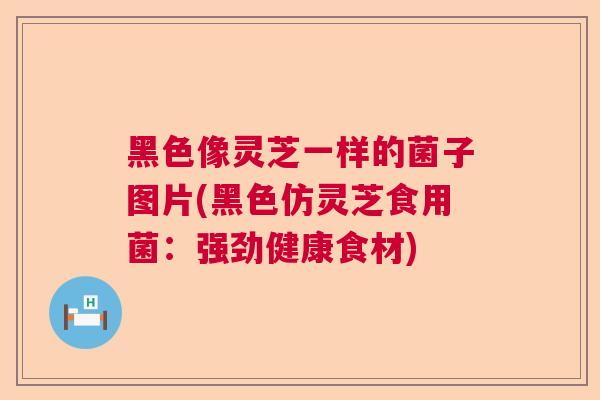 黑色像灵芝一样的菌子图片(黑色仿灵芝食用菌：强劲健康食材)