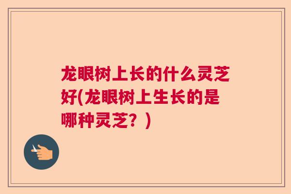 龙眼树上长的什么灵芝好(龙眼树上生长的是哪种灵芝？)