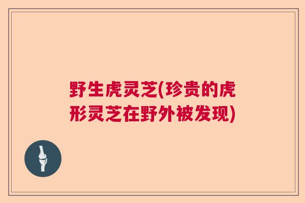 野生虎灵芝(珍贵的虎形灵芝在野外被发现)