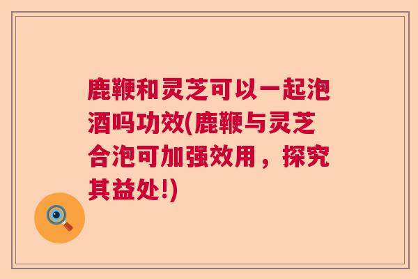 鹿鞭和灵芝可以一起泡酒吗功效(鹿鞭与灵芝合泡可加强效用，探究其益处!)