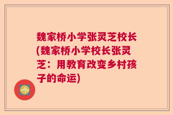 魏家桥小学张灵芝校长(魏家桥小学校长张灵芝：用教育改变乡村孩子的命运)
