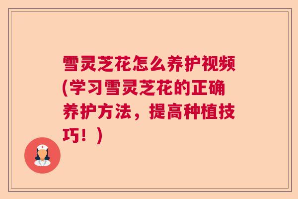 雪灵芝花怎么养护视频(学习雪灵芝花的正确养护方法，提高种植技巧！)