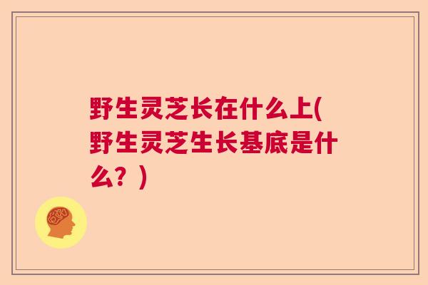 野生灵芝长在什么上(野生灵芝生长基底是什么？)