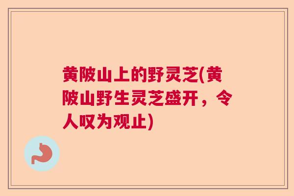 黄陂山上的野灵芝(黄陂山野生灵芝盛开，令人叹为观止)