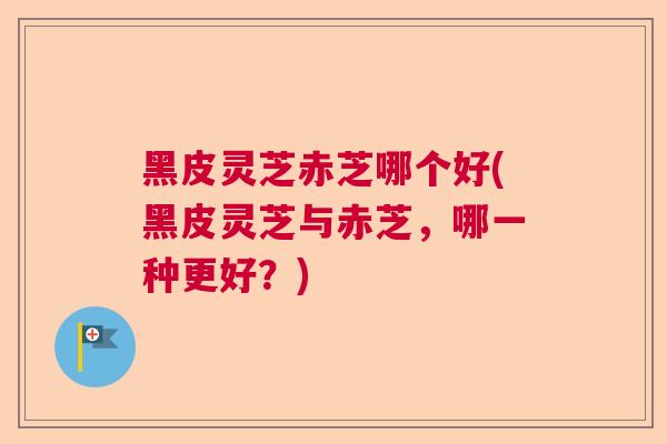 黑皮灵芝赤芝哪个好(黑皮灵芝与赤芝，哪一种更好？)