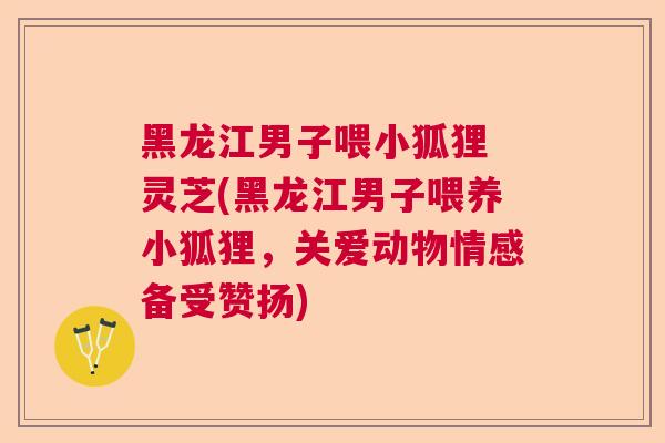 黑龙江男子喂小狐狸 灵芝(黑龙江男子喂养小狐狸，关爱动物情感备受赞扬)