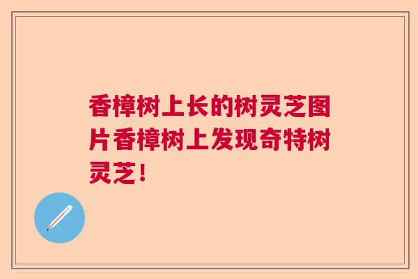 香樟树上长的树灵芝图片香樟树上发现奇特树灵芝！