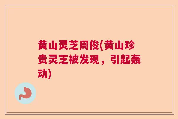 黄山灵芝周俊(黄山珍贵灵芝被发现，引起轰动)