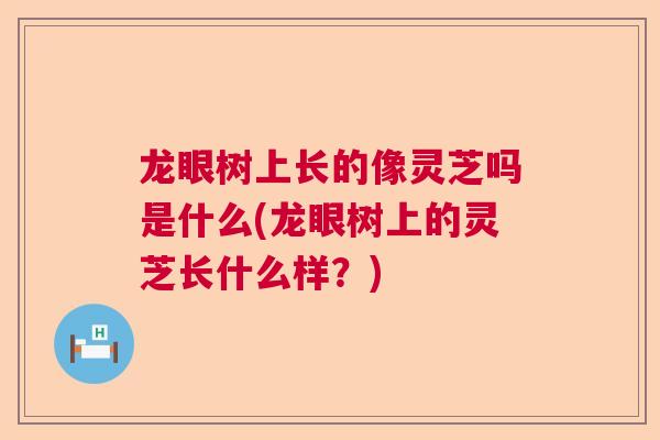龙眼树上长的像灵芝吗是什么(龙眼树上的灵芝长什么样？)