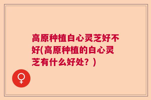 高原种植白心灵芝好不好(高原种植的白心灵芝有什么好处？)