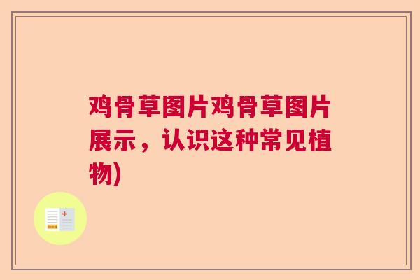鸡骨草图片鸡骨草图片展示，认识这种常见植物)